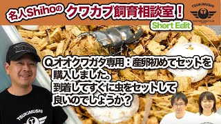 Q.オオクワガタ専用：産卵初めてセットを購入しました。到着してすぐに虫をセットして良いのでしょうか？