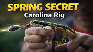 How to Fish a Carolina Rig in Spring | Bass Fishing