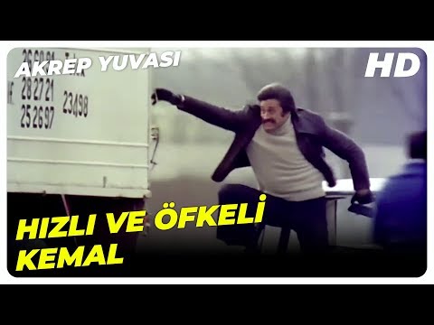 Akrep Yuvası - Kemal, Kaçakçıların Tırına Operasyon Yaptı! | Cüneyt Arkın Banu Alkan Eski Türk Filmi