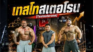 Testosterone ฮอโมนเพศชาย เผยความลับใช้เทส ไม่ให้เป็นสิว ผมร่วง