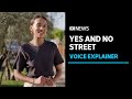The Yes and No campaigns explained | Voices of Australia | ABC News