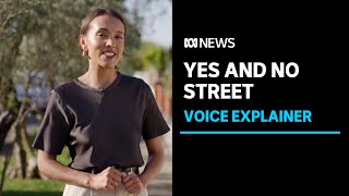 The Yes and No campaigns explained | Voices of Australia | ABC News