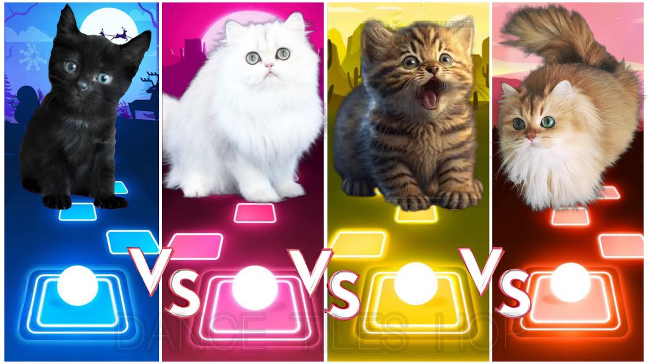 Игра dance cats. Dancing Cats игра. Игра где кошка песня. Tiles Hop обложка ютуб.