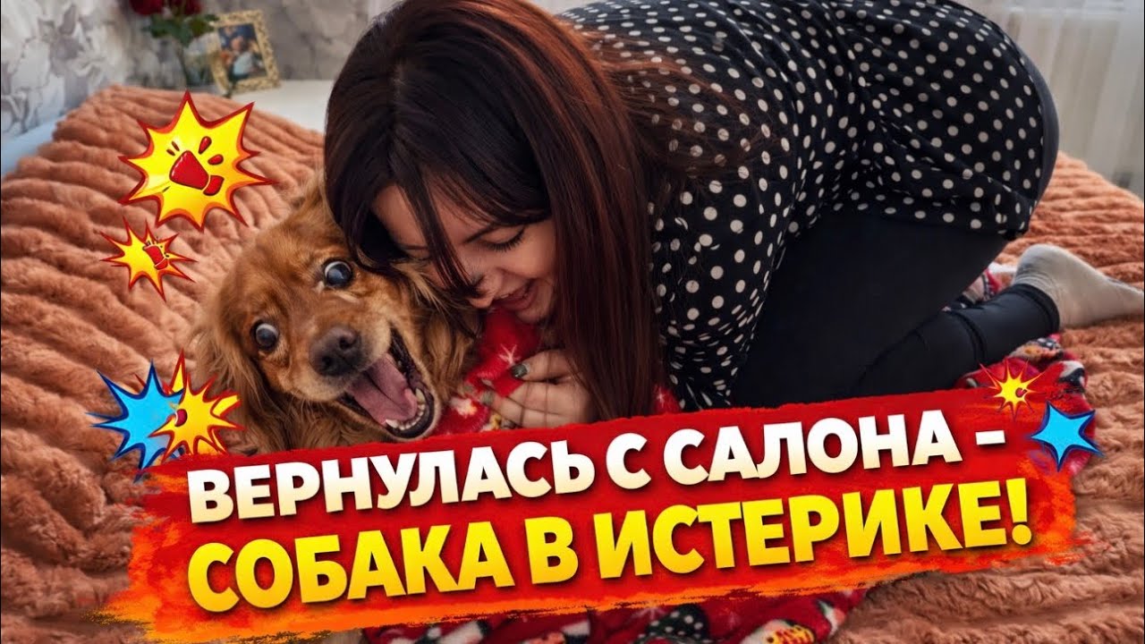 ВЕРНУЛАСЬ ИЗ САЛОНА - а СОБАКА В ИСТЕРИКЕ …