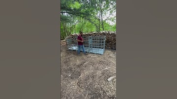 we have 78 IBC totes now