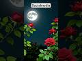 socialmedia#subhanallah #socialmedia #shorts #shortsfeed #shortsvideo #shortsyoutube#emirabdulgani