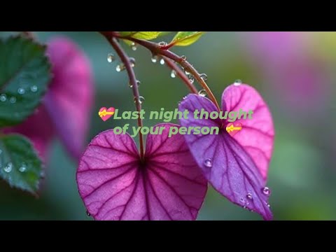 💝Last night thought of your person💝 #tarot #tarotcards #tarotreading #astrology #horoscope #love 