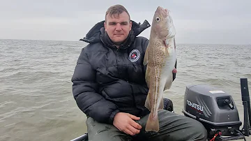 cod fishing at clacton on sea from a small inflatable boat sib fishing UK
