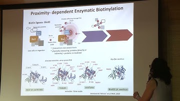 7. Proximity dependent enzymatic biotinylation by Rosario Durán