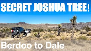 Secret Joshua Tree: Offroad in the National Park