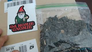 Mail call from da homie gnomie 🌻👊✌️