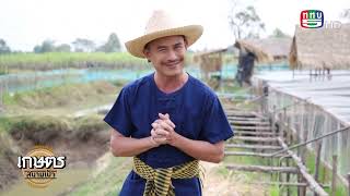 เกษตรสนามเป้า l 1 ไร่ 1 ล้าน l 29 01 2566
