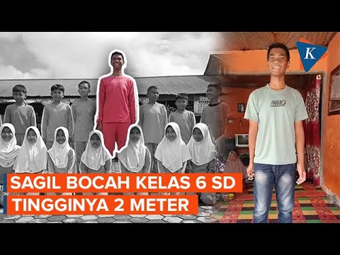 Kelas 6 SD, Bocah Ini Tingginya 2 Meter