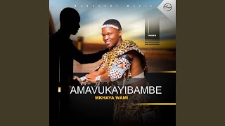 UNGAFISI UKUBA YIMI
