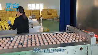 30000 eggs/hour egg grader