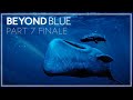 Beyond Blue | Gameplay | Ep. 7 - FINALE | (PC-No commentary)