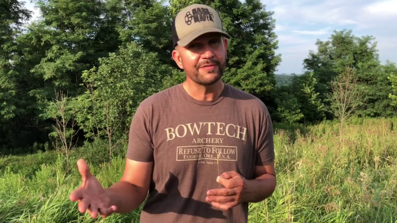 Whitetail 101 QuickTip How Do Wind Conditions Affect Deer Hunting whitetail-101-quicktip-how-do-wind-conditions-affect-deer-hunting