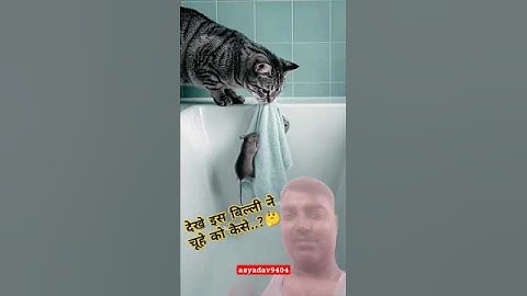 Shocking! Why Did the Cat Save the Mouse? #Shorts​ #CatAndMouse​ #UnlikelyFriendship​ #cat #cartoon