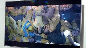 Pulse-EIGHT Overview