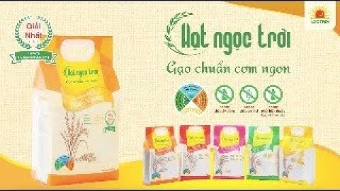 Gạo Hạt Ngọc Trời | Music video THƯƠNG QUÁ HẠT NGỌC TRỜI | Gạo Chuẩn Cơm Ngon