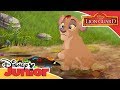 The Lion Guard - On Safari with Grubs | Official Disney Junior Africa