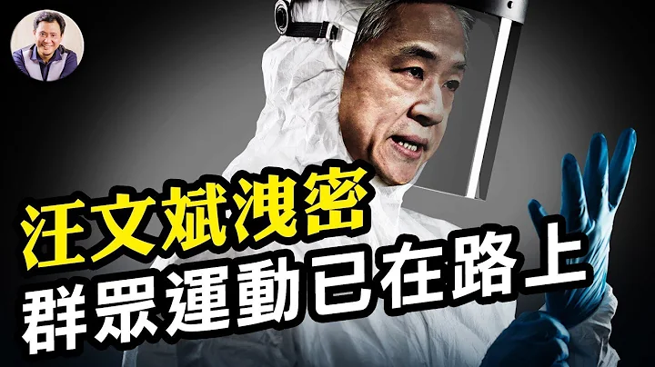 北京疫情高峰已過？代價幾多無人說，讚歌已經開始， 小心對”躺廢“---放開派及白紙革命的甩鍋與攻擊。醫藥資源枯竭老百姓有罪？【江峰漫談20221229第606期】 - 天天要聞