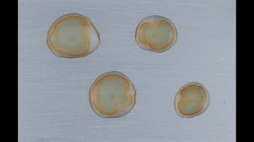 Formation instantanée de rouille sous quatre gouttes d’eau déposées sur le fer