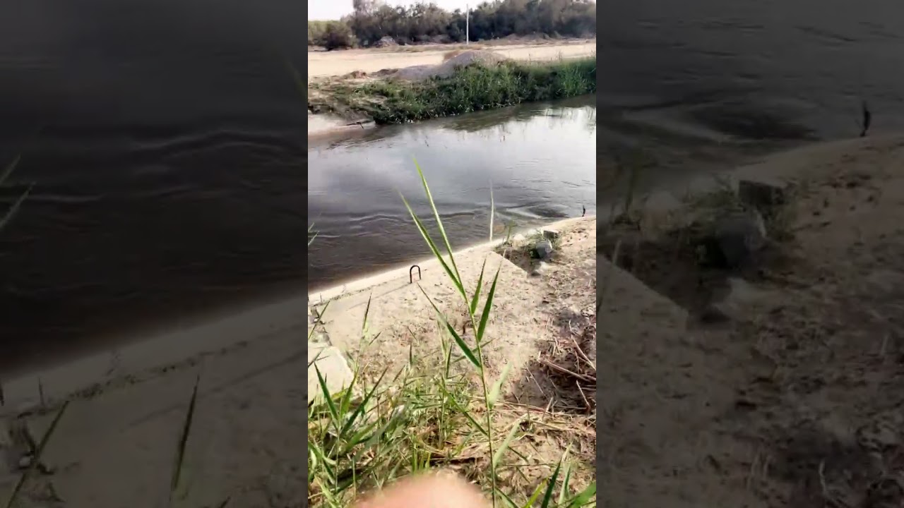 رحلة بحيرة الاصفر الاحساء