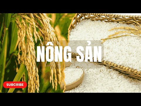 Nhận Định 12.12.2025 | Nhóm Nông Sản