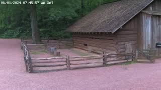 Atlanta History Center Live Goat Cam