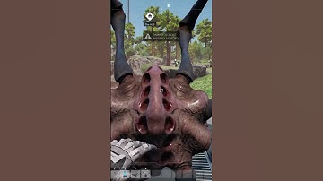 A SPIDER almost gave me a HEART ATTACK!