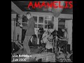 Capture de la vidéo Amanelis Live ( Dernier Soupir)