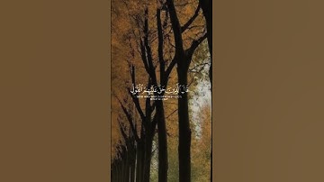 سورة القصص القارئ #ياسر_الدوسري #فلسطين#السعودية#المغرب#مصر#الجزائر#تونس