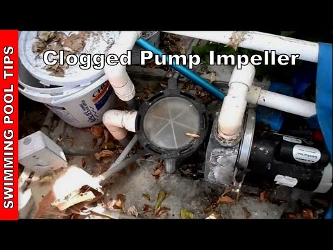 clogged-impeller,-pool-pump-not-priming-part-4