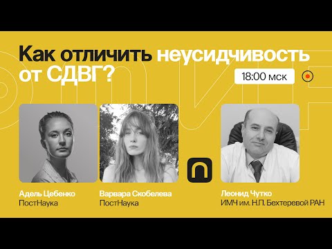 Ни минуты покоя: как отличить лень и невнимательность от СДВГ? / Леонид Чутко на ПостНауке