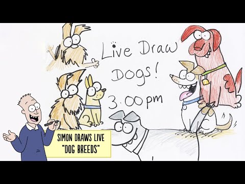 Video: Ako Nakresliť Mačku Simon?