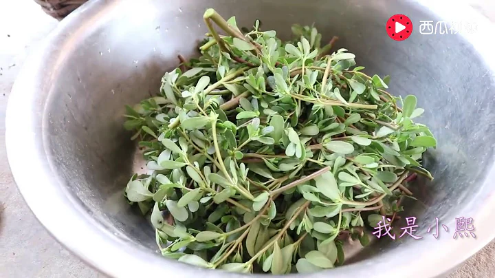 我是小熙：農村草木灰保存馬齒莧，看起來有點臟，確實有營養 - 天天要聞