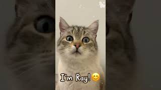 Im Ray