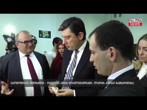 ეკონომიკის მინისტრი - რყევები არის მოკლევადიანი, ლარის კურსი გამყარდება