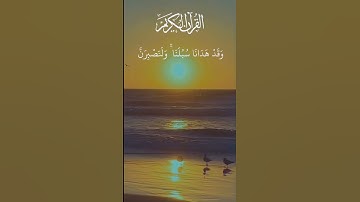 راحة نفسية 💜 تلاوه خاشعه 🩵 حالات واتس اب قران كريم بصوت جميل