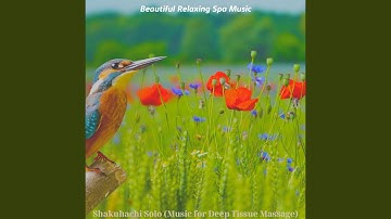 Fiery Shakuhachi and Harps - Vibe for Steam Baths