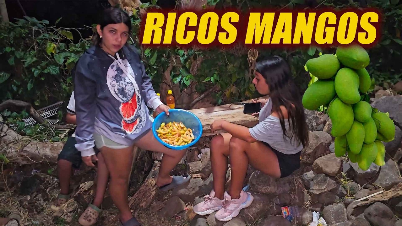 Así se disfruta de los ricos mangos tiernos.