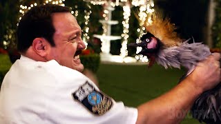 Hilarious Bird Attack Paul Blart Mall Cop 2 Clip