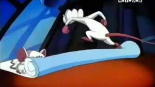 Générique Minus et Cortex - 検索動画20 Générique Minus et Cortex - 検索動画 20