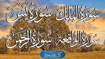 سورة يس + سورة الواقعة + سورة الرحمن + سورة الملك للرزق والشفاء العاجل باذن الله