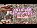 Pigeon grit making malayalam | How to make pigeon grit in malayalam | Pigeon grit malayalam | Grit