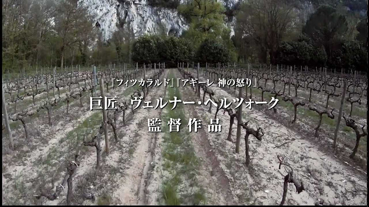 映画『世界最古の洞窟壁画35mm 忘れられた夢の記憶』予告編