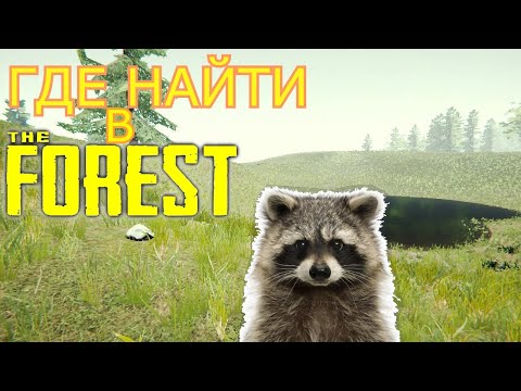 ГДЕ НАЙТИ В THE FOREST | ЕНОТ