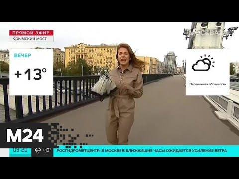 "Утро": +16 градусов ожидается в Москве днем 10 сентября - Москва 24