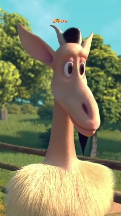 Сета Букинамен жыныстық қатынас Екі жұп бір-бірін ауыстыруға шешім қабылдады